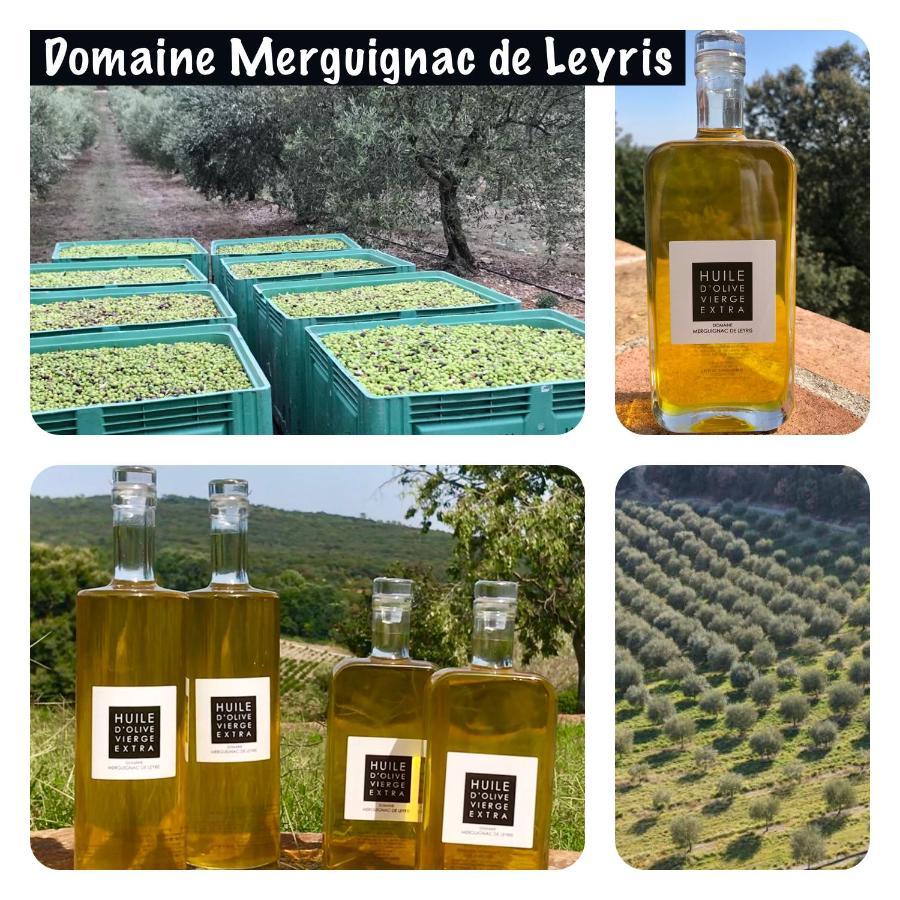 Mas Grenadine, Magnifique Villa Du Piemont Cevenol Sauve Экстерьер фото