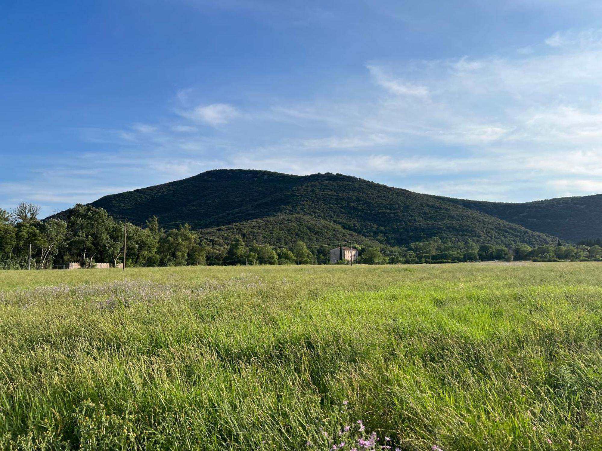Mas Grenadine, Magnifique Villa Du Piemont Cevenol Sauve Экстерьер фото